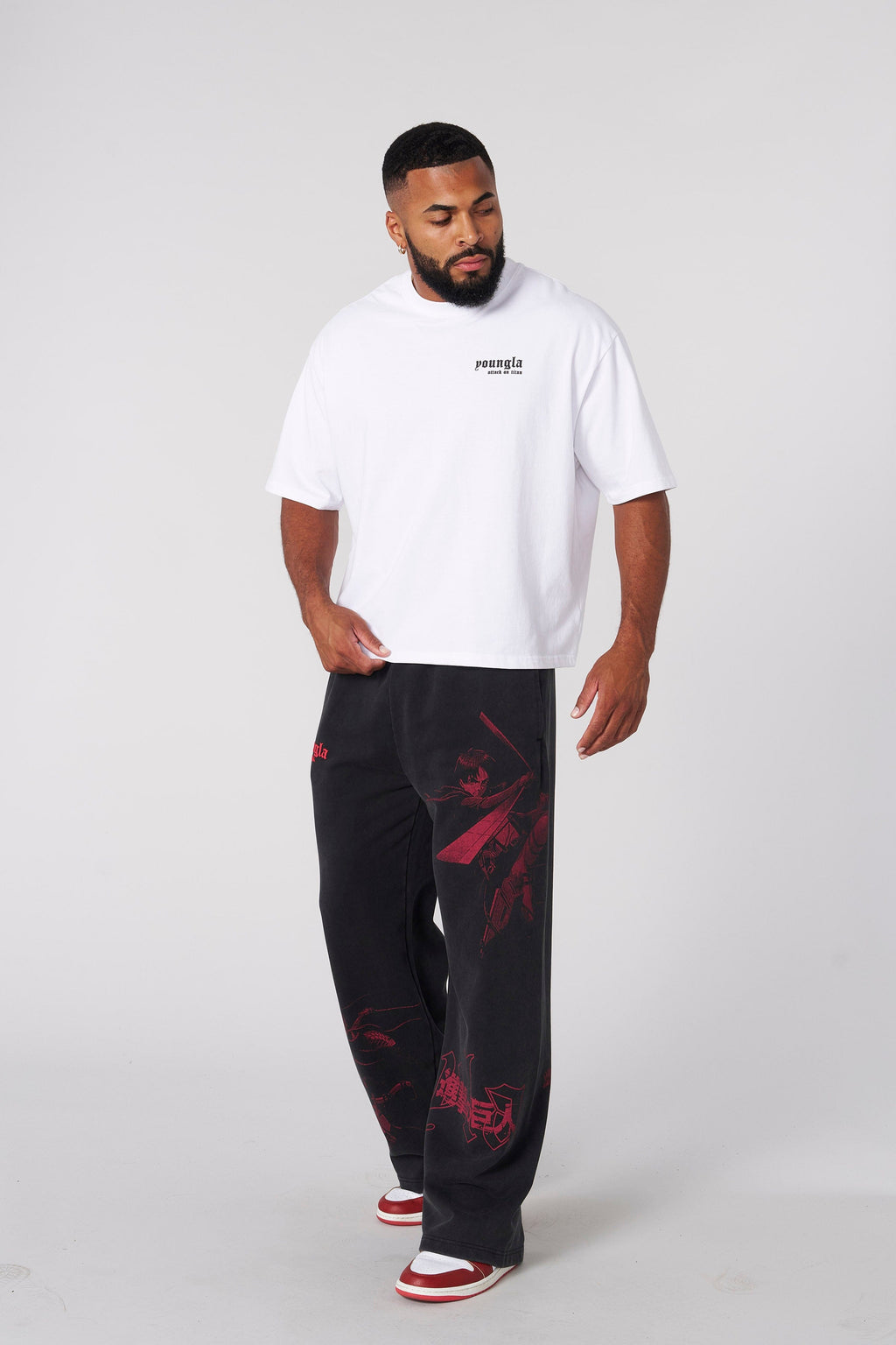 4186 - AOT?  x YLA Cropped Tees